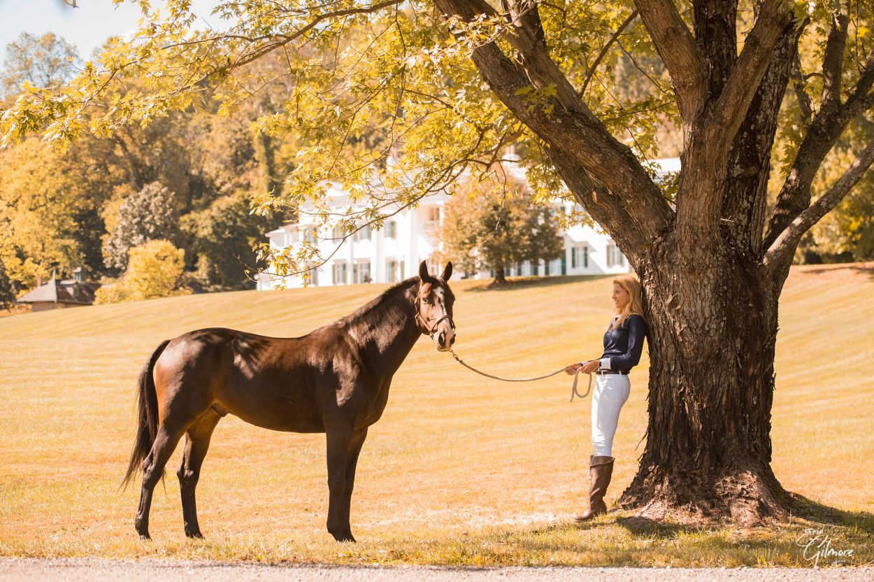 All about rest and detox for horses