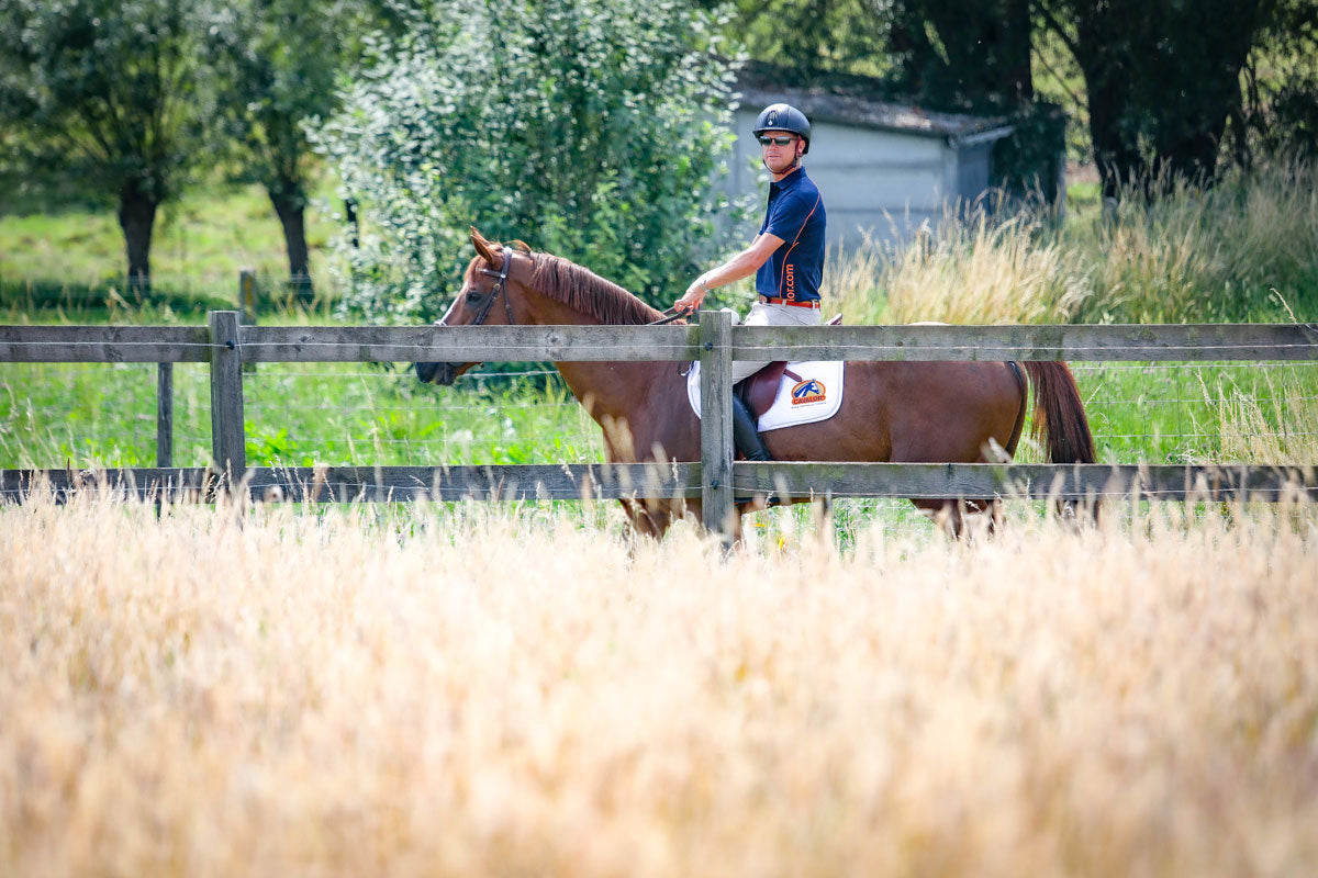 A horse that's healthy from the inside