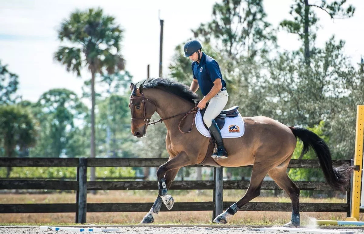 When conditioning horses, a good start is half the battle