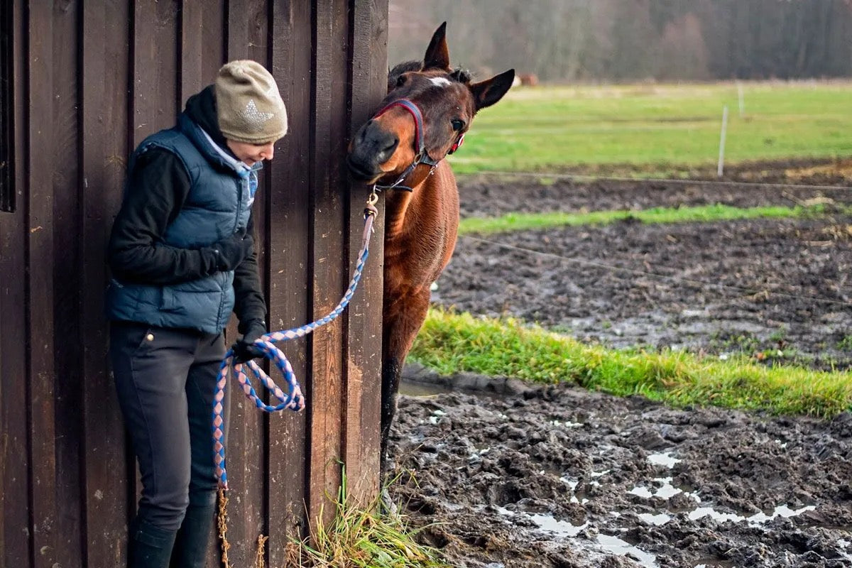 The best tips for (equine) winter complaints