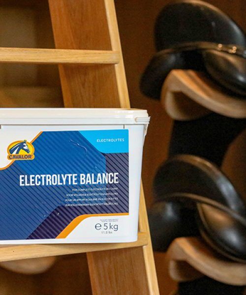 Cavalor Electrolyte Balance - Cavalor Direct